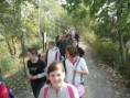 /album/a5-evfolyamosok-kirandulasa-veszto-magoron/vesztomagor2011-65-jpg/